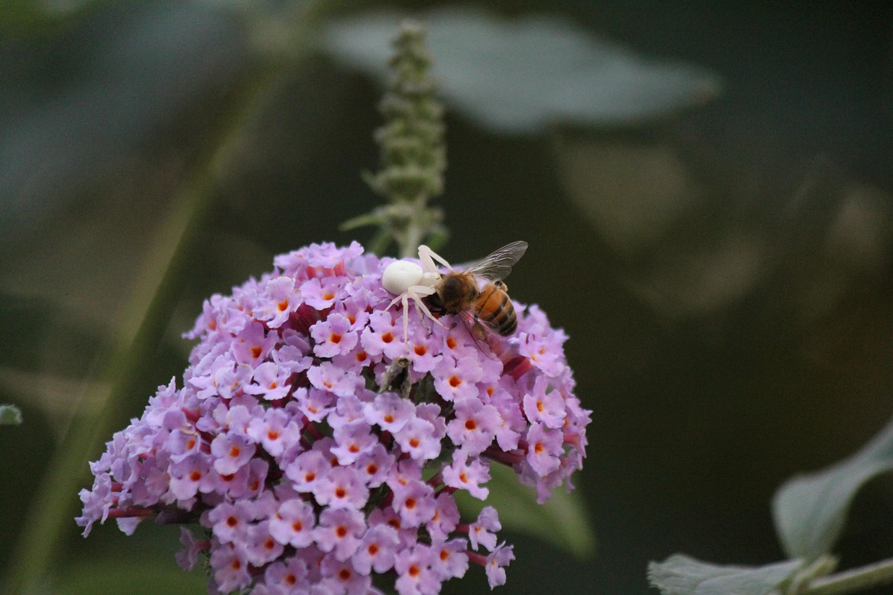 미국 vs 한국 산업보호 차이 관련 사진