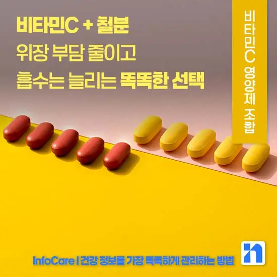 비타민C 같이 먹으면 좋은 영양제 조합