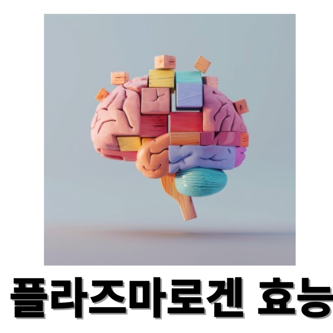 플라즈마로겐과 관련된 사진입니다.