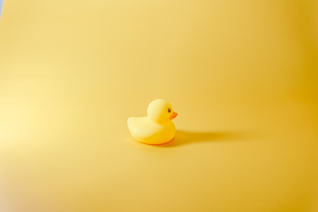 Duck.