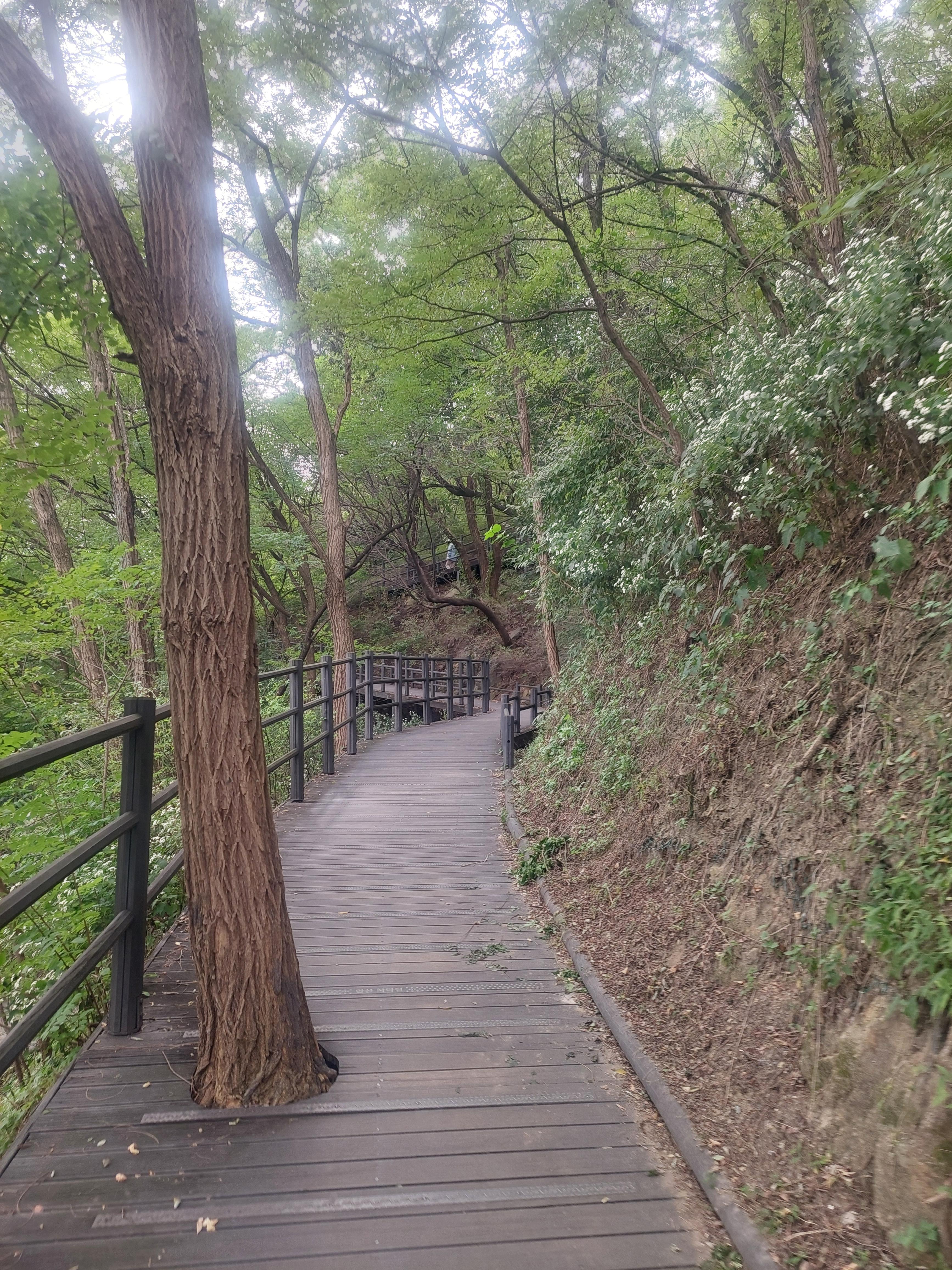 안산
