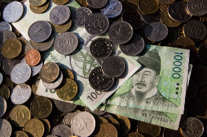 2025년 민생회복지원금