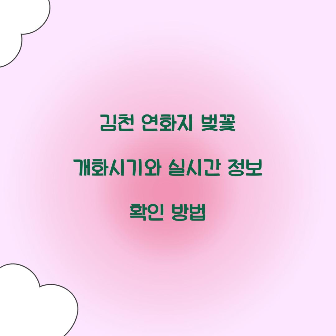 김천 연화지 벚꽃 개화시기