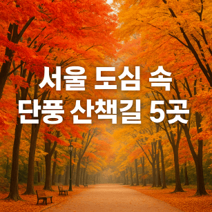 서울 단풍 명소 추천 5곳 : 고궁부터 숲길까지 도심 속 가을 산책길
