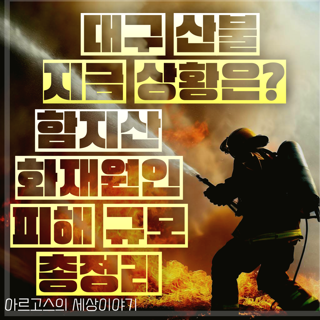 📌 대구 산불 지금 상황은? 함지산 원인·피해 규모 총정리 (2025) - 대표이미지