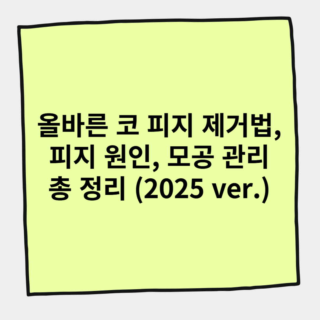 올바른 코 피지 제거법, 피지 원인, 모공 관리 총 정리 (2025 ver.)