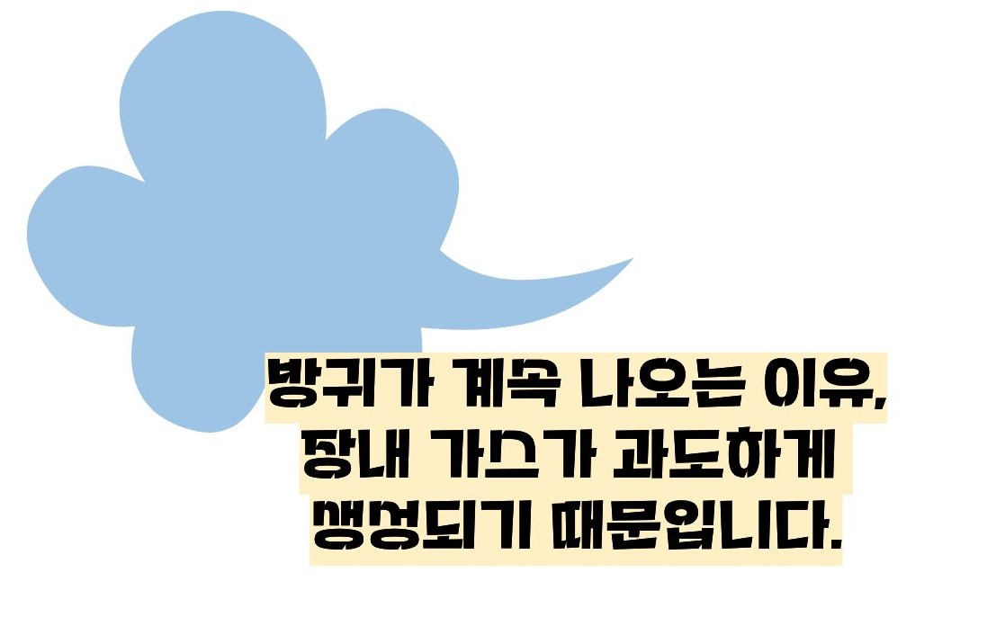 방귀가 계속 나오는 이유