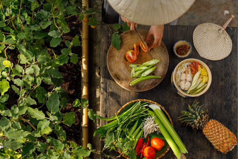 베트남 길거리에서 즐기는 ‘반미’와 ‘분짜’ – 진짜 현지의 맛은?