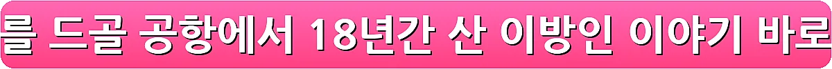 파리 샤를 드골 공항에서 18년간 산 이방인 이야기_3