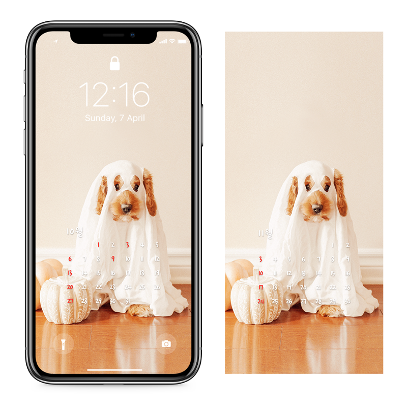 05 할로윈 강아지 AB - 2024년10월 아이폰달력배경화면