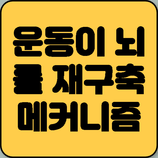 운동은 인지적 유연성이 강화된 뇌를 구축한다