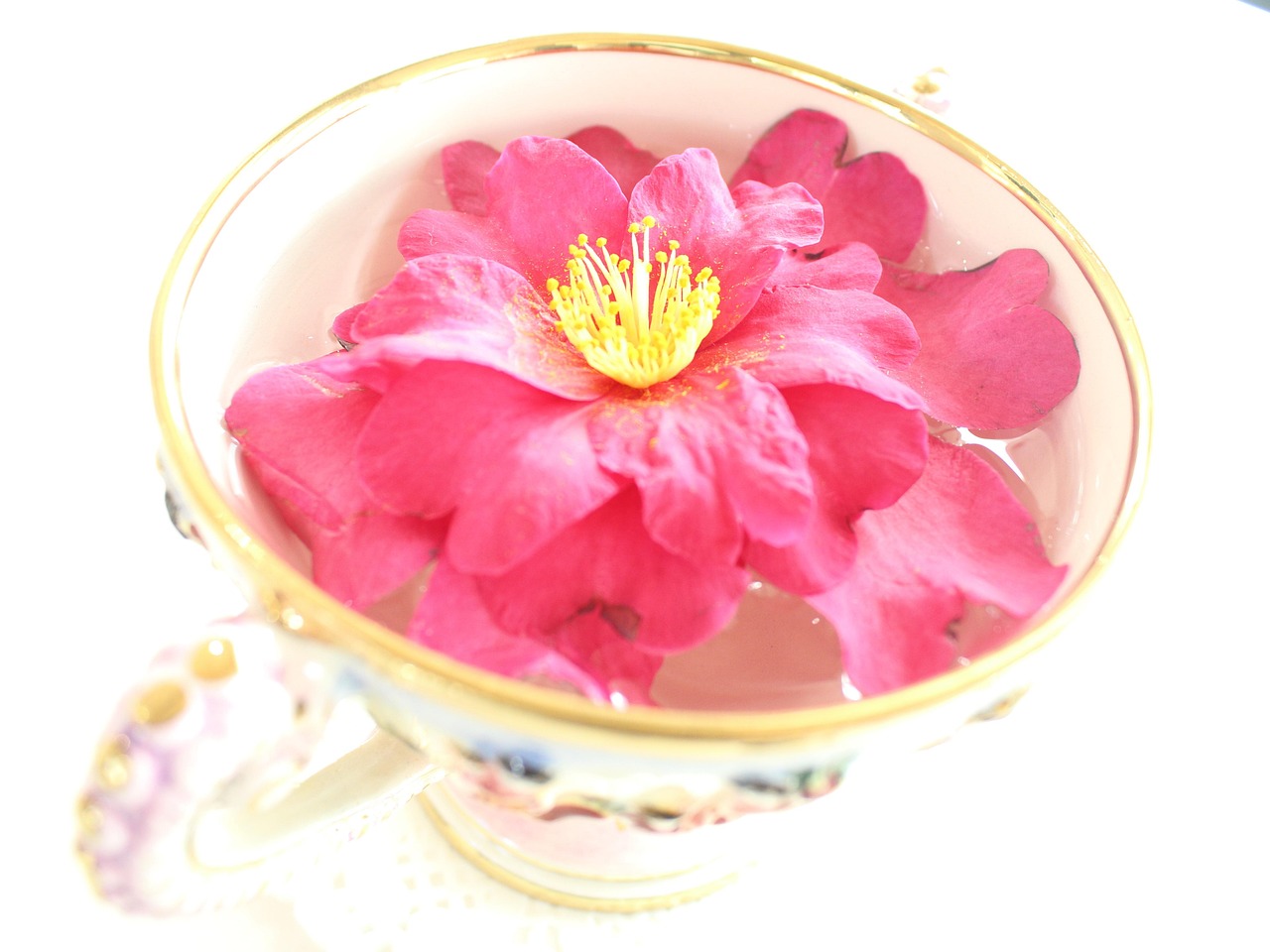 꽃잎이떠있는 차의모습