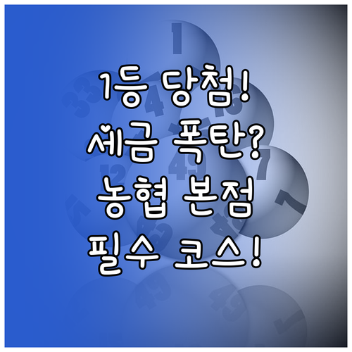 복권 당첨금 세금 요율 및 농협은행 ..