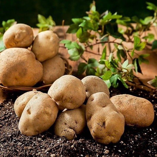 나트륨 배출, 칼륨이 풍부한 감자