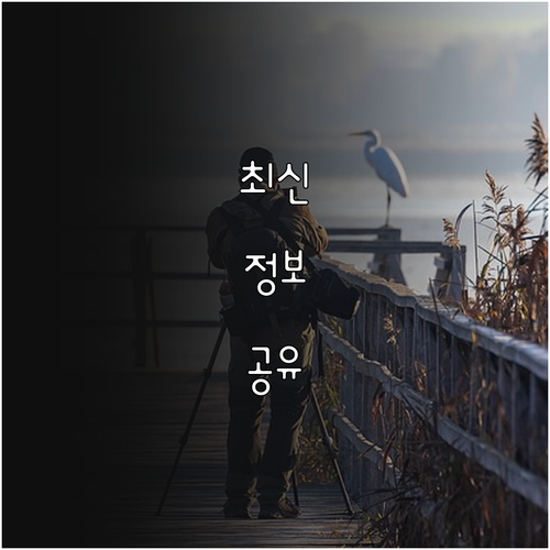 2025 장애인 보조견 지원 똑똑하게..