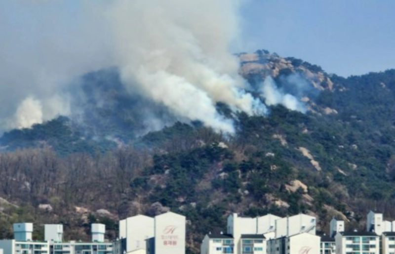 인왕산 산불 진화 98% 소식