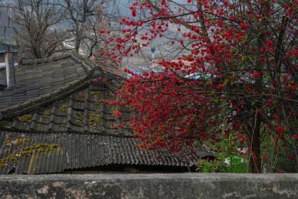 설날 새배돈 적정 금액