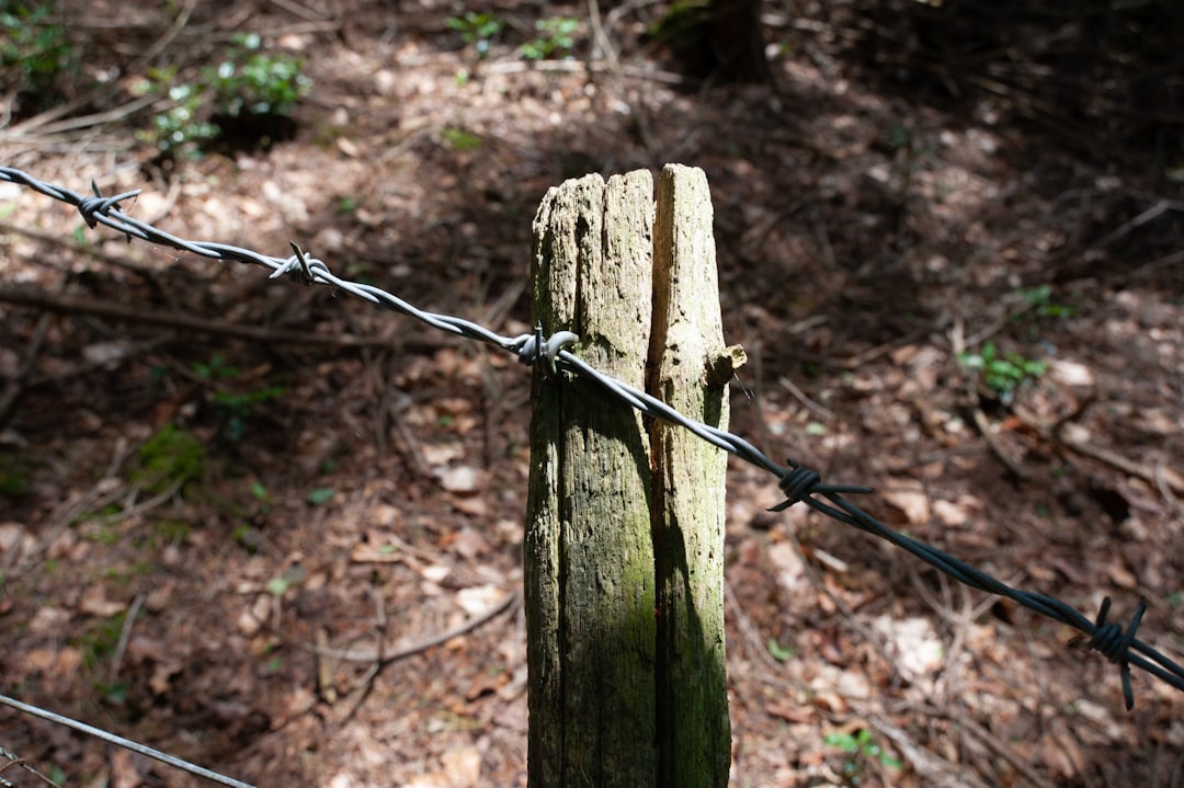 Boundaries