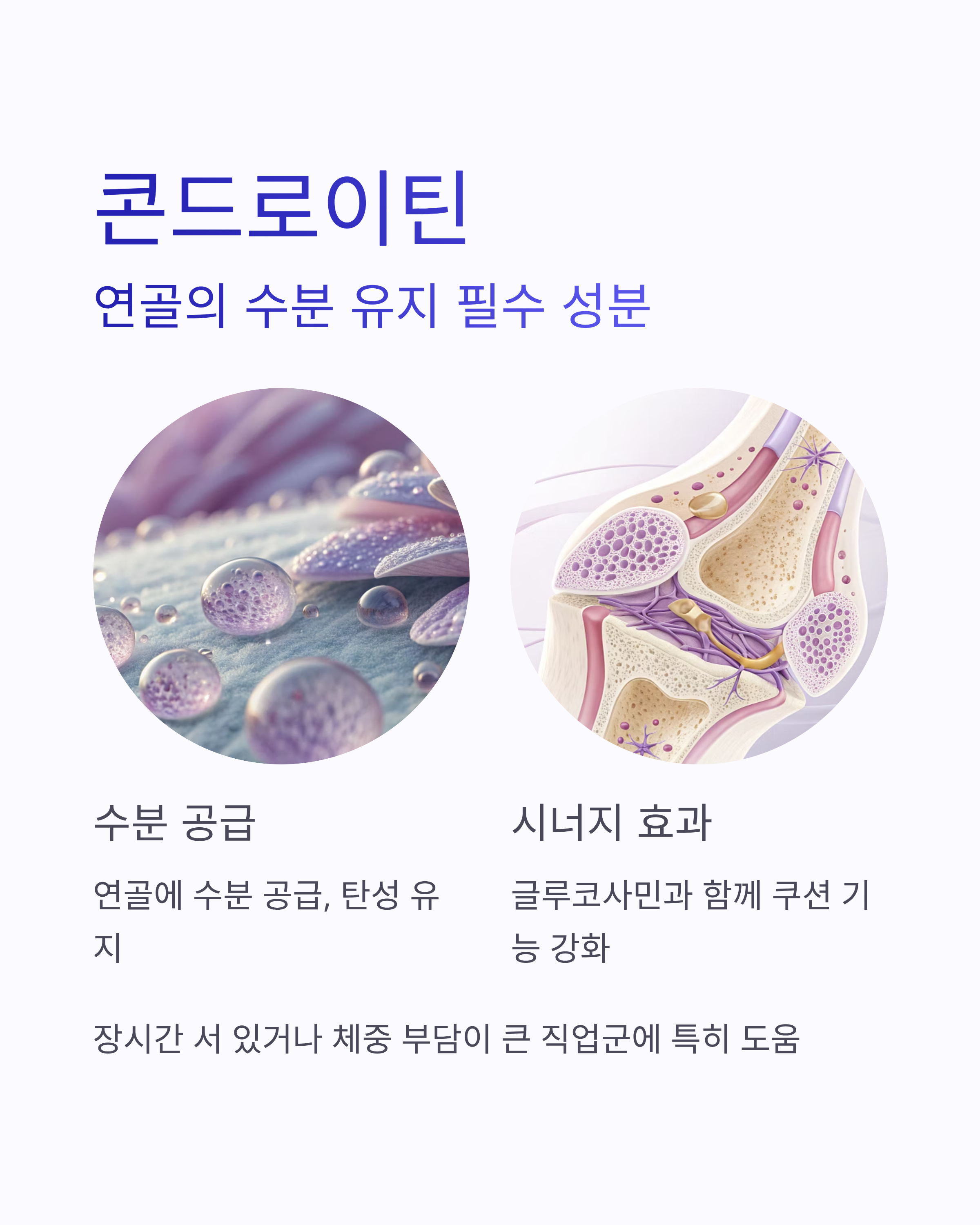 관절에좋은영양제 ❘ 연골·뼈 건강 지키는 2025년 필수 보충제 완벽 가이드