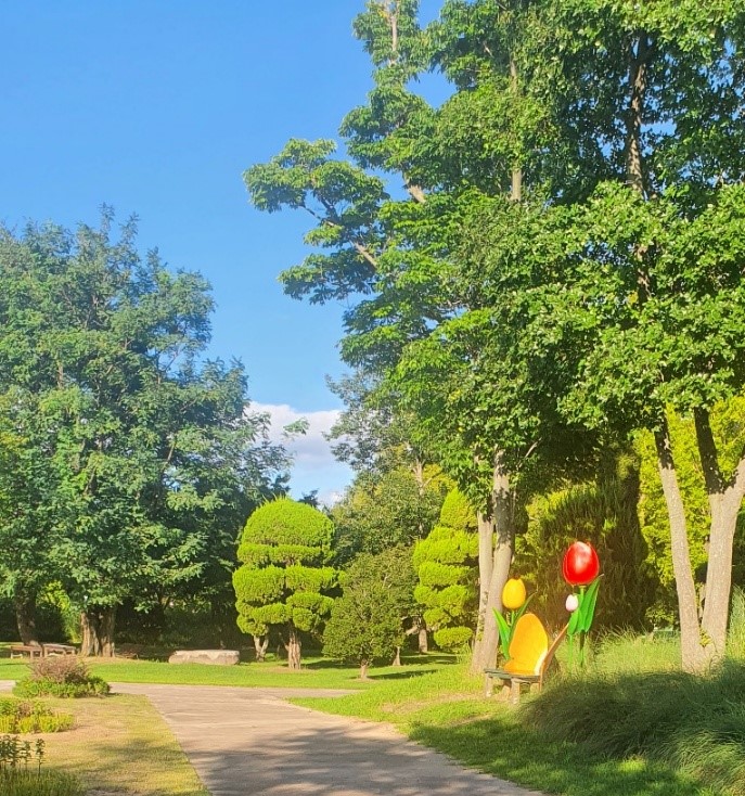 2026 해랑 열차 예약방법.코스.비용 총정리