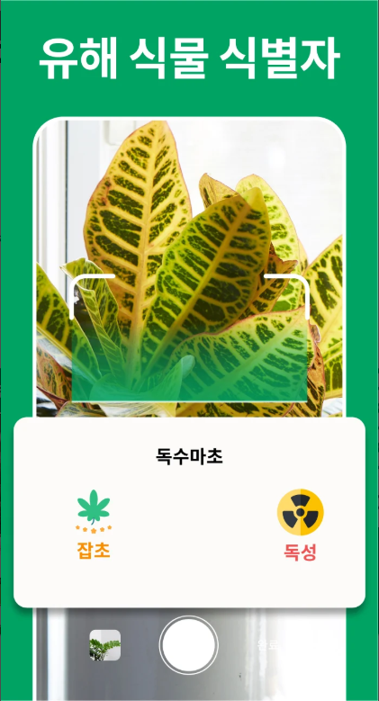 식물 이름 찾기 어플, 식물 식별기, AI 식물 식별자 및 식물 관리