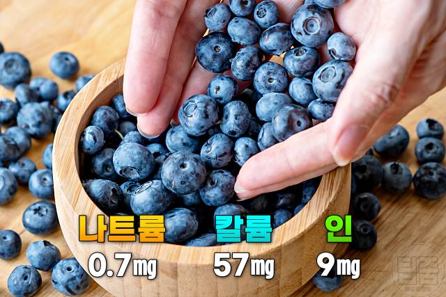 신장에 좋은 음식 블루베리 나트륨 칼륨 인 적은 음식