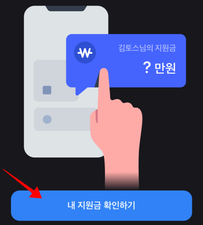 토스 정부지원금