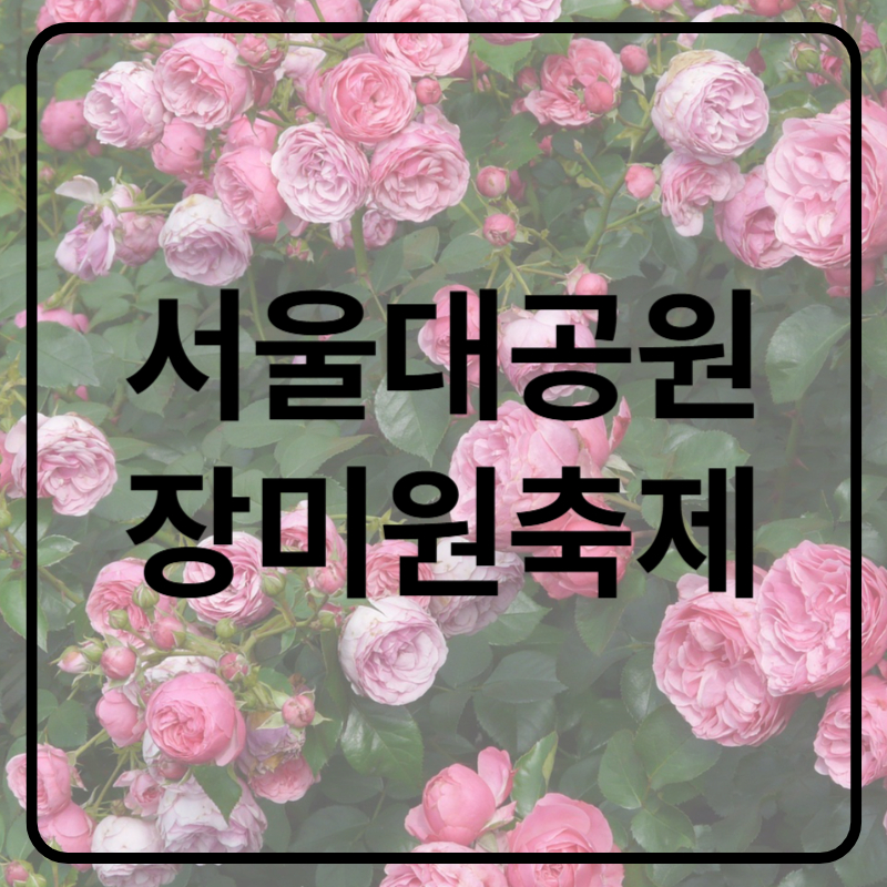 서울대공원 장미원축제 입장료 기본정보