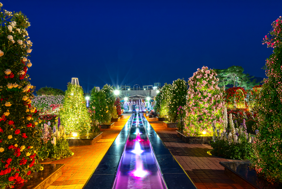 곡성 세계장미축제