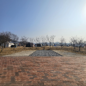 목계솔밭_캠핑장_대형사이트