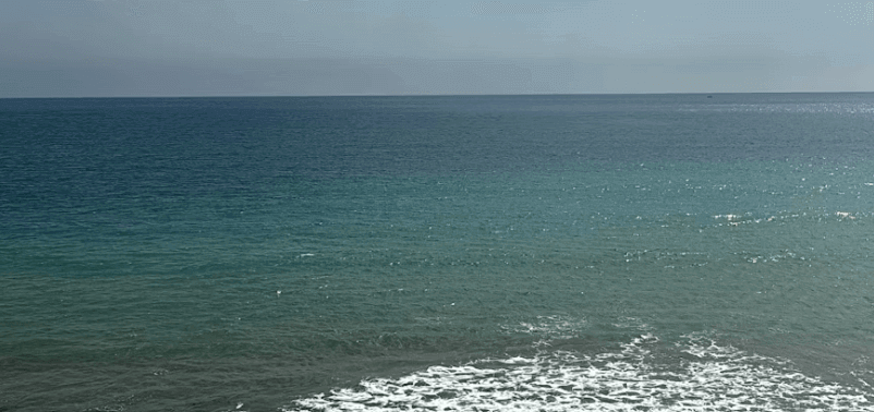 5월 바다 밥상 이벤트 신청하기