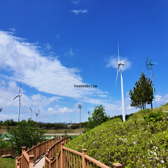 영덕 가볼만한곳 베스트10