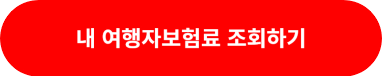 카카오페이 보험료 조회하기