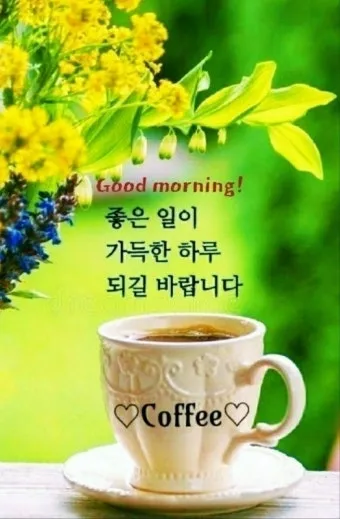 아침 인사말 이미지 모음 밝고 따뜻한 하루 인사 문구 정리_23