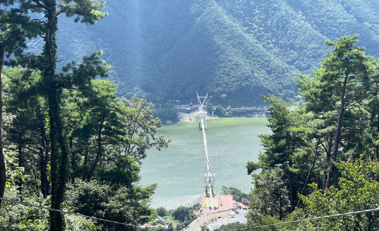 영천 보현산 짚라인