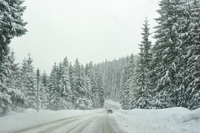 고속도로 통제구간 실시간 확인하는 법