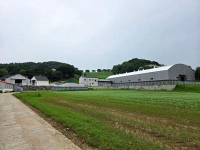 경기도 무료 어린이 말 체험 예약 꿀팁 (9~11월 조기 마감 주의)