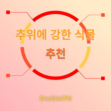 추위에 강한 식물 추천