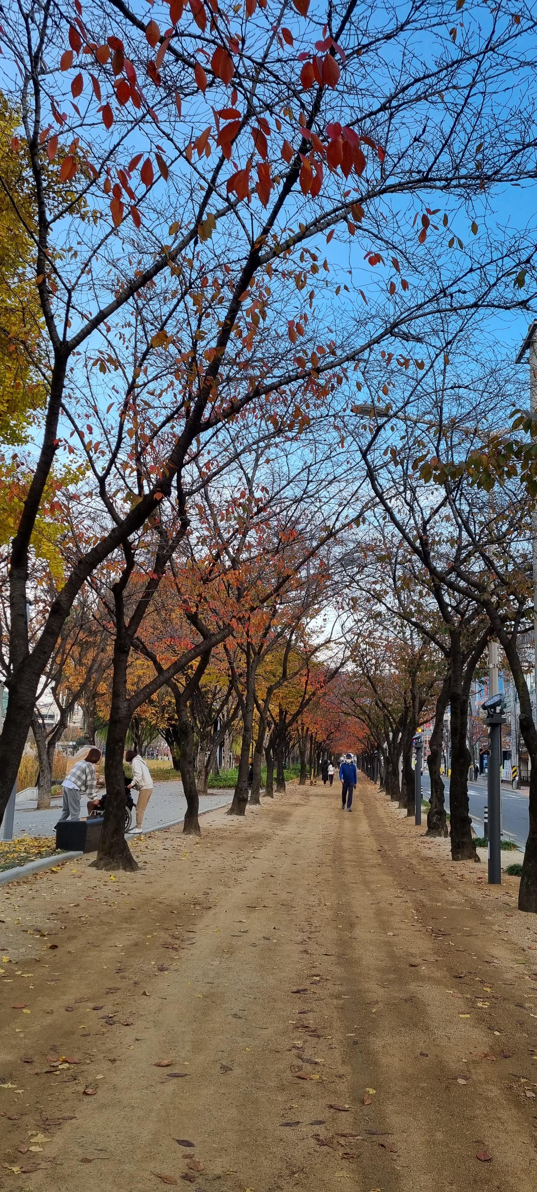 수성못 산책길