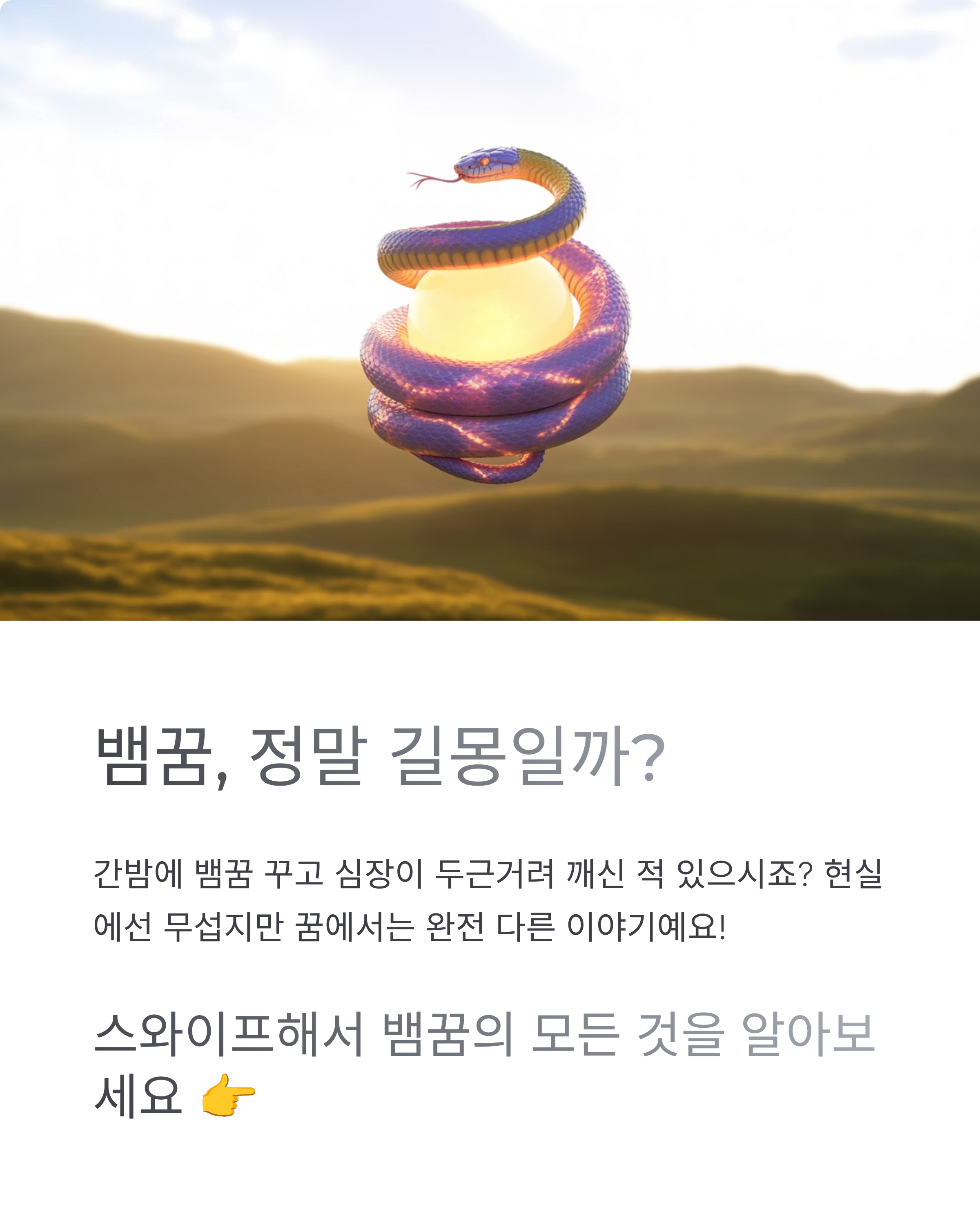 뱀꿈 해몽 총정리