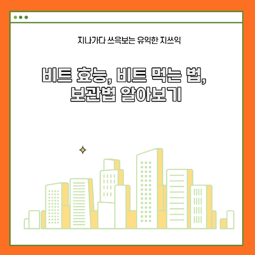 비트 효능, 비트 먹는 법, 보관법 알아보기