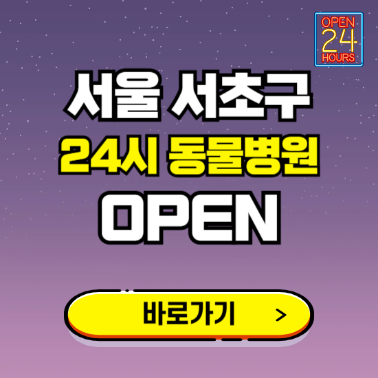 서울 서초구 24시 동물병원 진료하는 곳 ❘ 설날 휴일 야간 심야 문여는곳 찾기 ❘ 응급진료