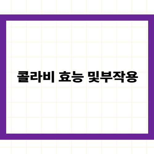 콜라비 효능 및 부작용 —
영양 성분부터 주의사항까지
완벽 정리