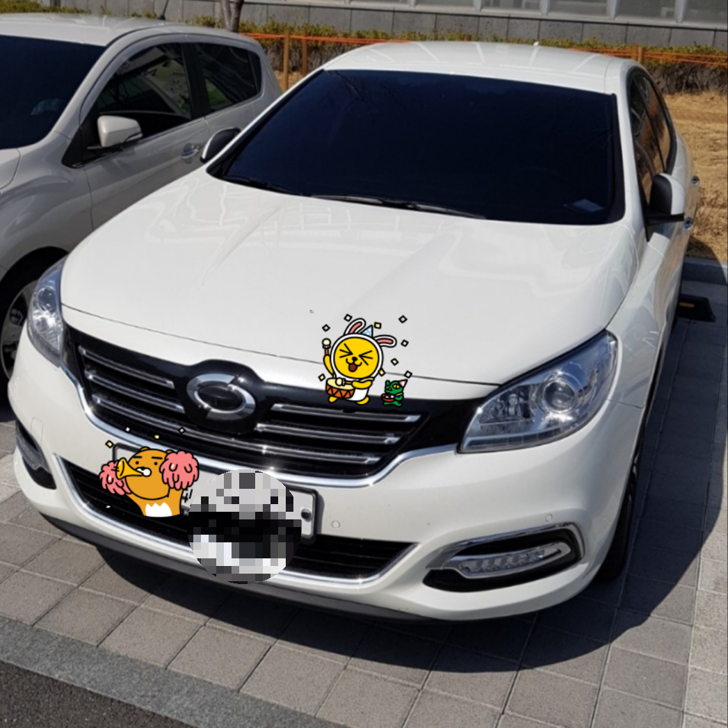 솔라가드 티타늄 썬팅된 르노 sm7 차량