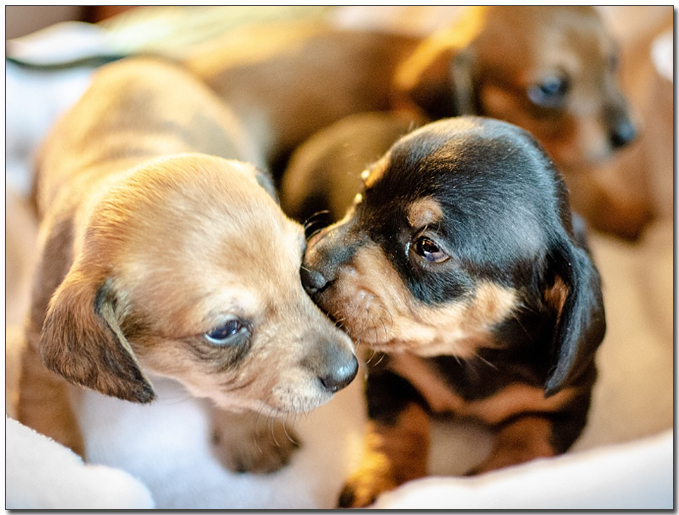 ๋ฅ์คํํธ ๊ฐ์์ง๋ค