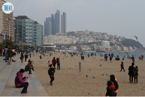 해운대 해수욕장