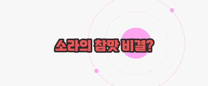 소라 삶는법 한 번 정리해볼까요
