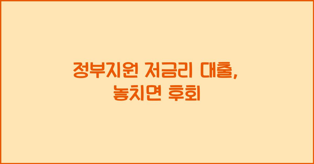 정부지원 저금리 대출