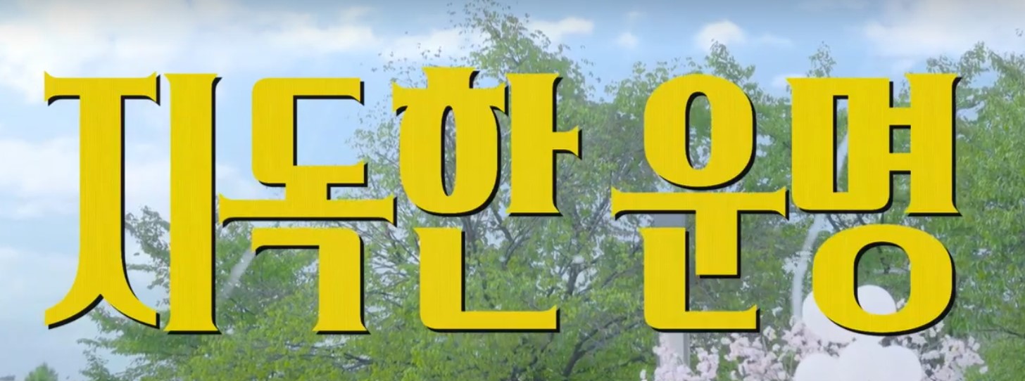 2025 바니와 오빠들 드라마 다시보기