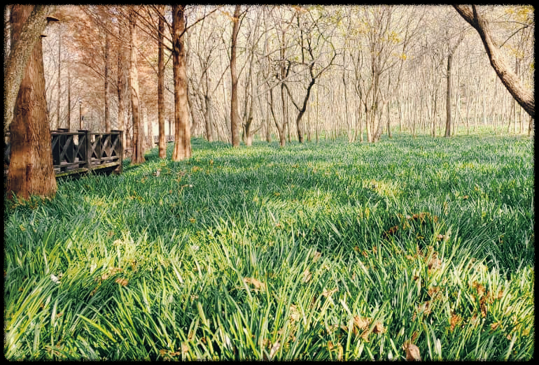 광주호 호수생태원